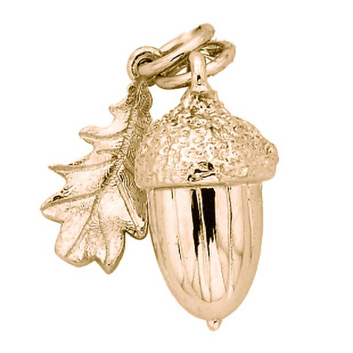 Karen Walker Acorn & Leaf Charm